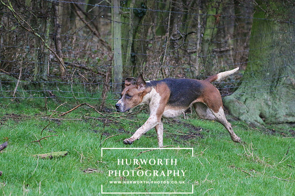 Hurworth Hunt 96