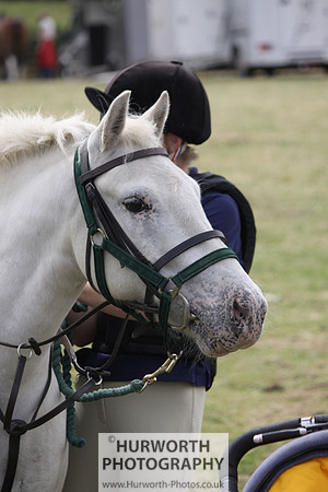 2013 Osmotherley Show 058