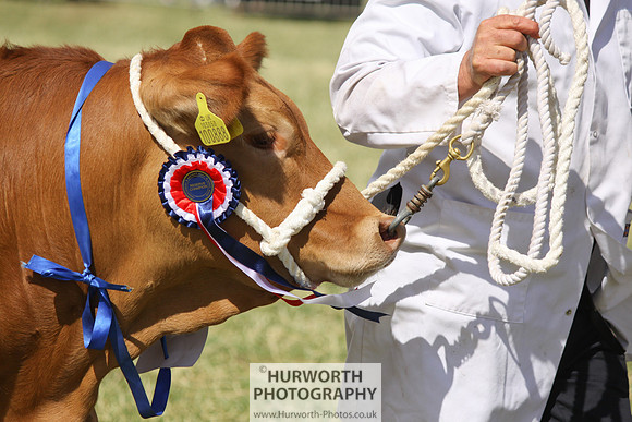 2013 Osmotherley Show 226