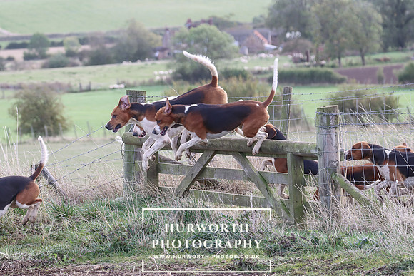 Hurowth Hunt 50