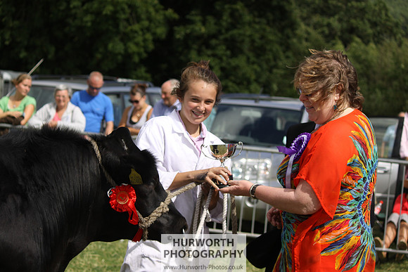 2013 Osmotherley Show 229