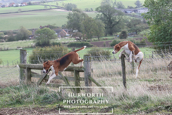 Hurowth Hunt 90