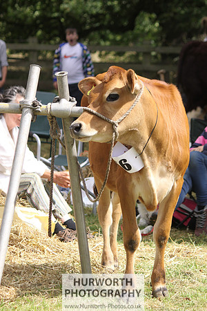 2013 Osmotherley Show 109