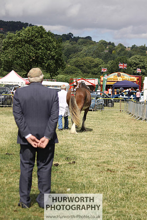2013 Osmotherley Show 089