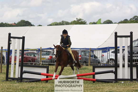 2013 Osmotherley Show 046