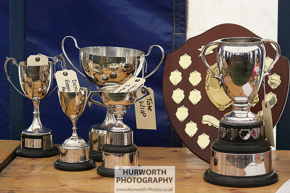 2013 Osmotherley Show 115