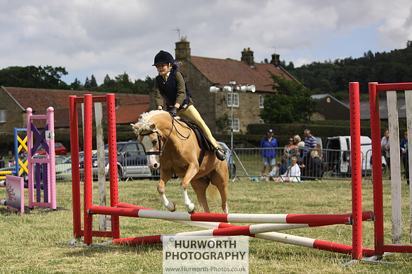 2013 Osmotherley Show 055