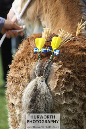 North Yorkshire County Show 058