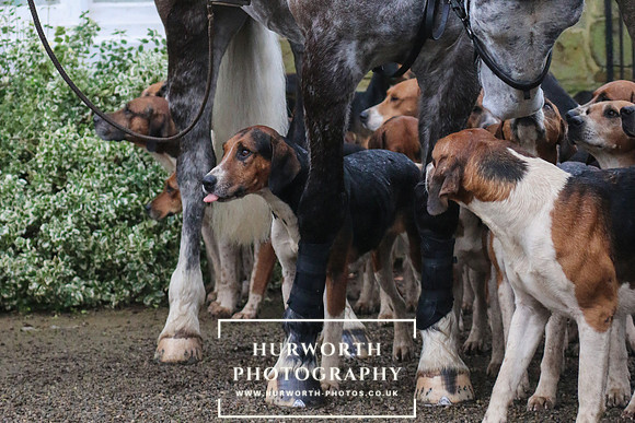 Hurworth Hunt 29