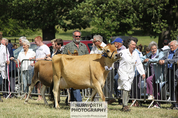 2013 Osmotherley Show 190