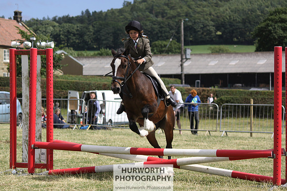 2013 Osmotherley Show 066