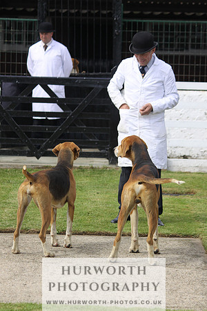 Hurworth Hunt Puppy Show 107