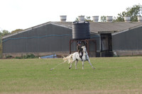 Hurowth Hunt 2