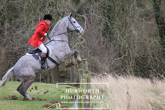 Hurworth Hunt 301