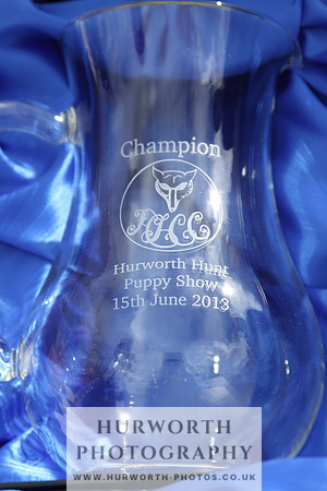 Hurworth Hunt Puppy Show 146
