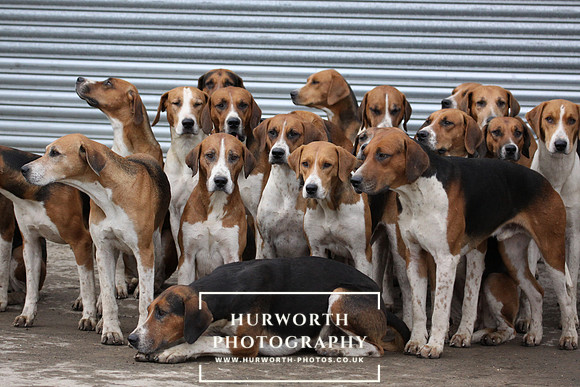 Hurworth Hunt 027