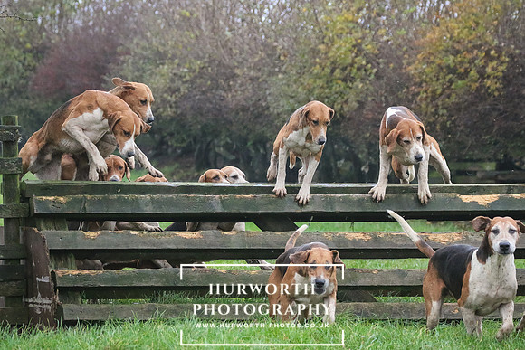 Hurworth Hunt  127