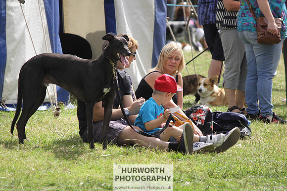 2013 Osmotherley Show 102