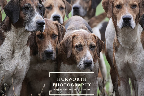 Hurworth Hunt 170