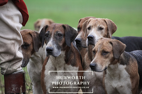 Hurworth Hunt 167