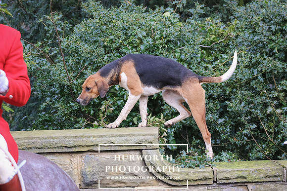 Hurworth Hunt 035