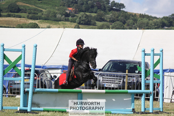 2013 Osmotherley Show 296