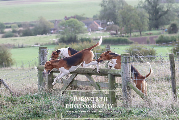 Hurowth Hunt 67