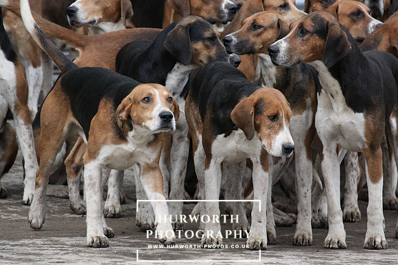 Hurworth Hunt 014
