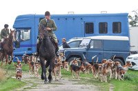 Hurowth Hunt 28