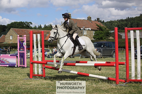 2013 Osmotherley Show 287