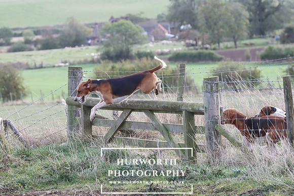 Hurowth Hunt 63
