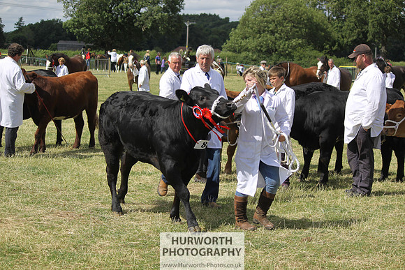 2013 Osmotherley Show 218