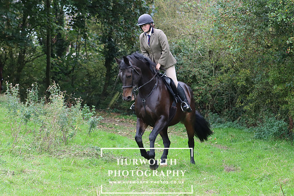 Hurworth Hunt 24