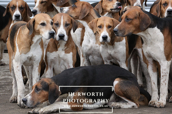 Hurworth Hunt 029