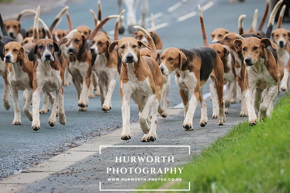 Hurworth Hunt 014