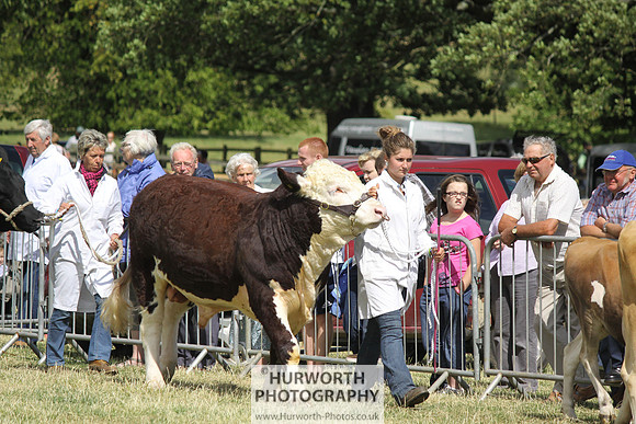 2013 Osmotherley Show 191