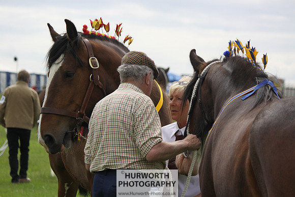 North Yorkshire County Show 093