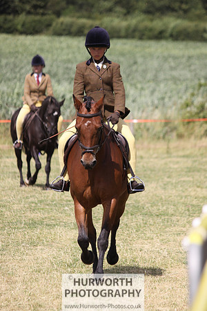 2013 Osmotherley Show 137