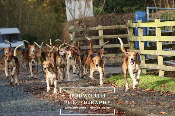 Hurworth Hunt  166