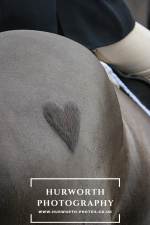 Hurworth Hunt 084