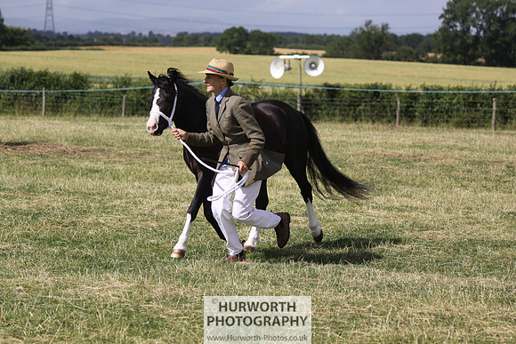 2013 Osmotherley Show 004
