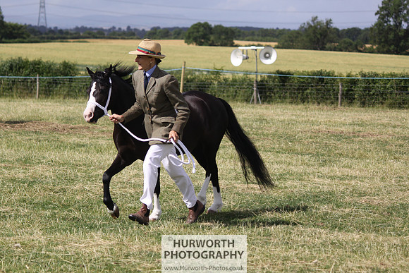 2013 Osmotherley Show 005