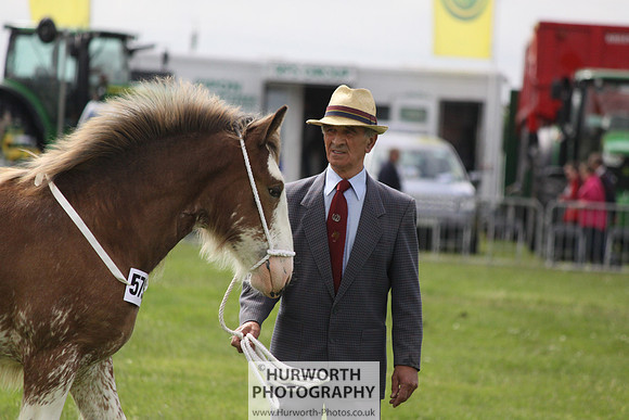 North Yorkshire County Show 085