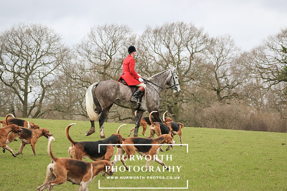 Hurworth Hunt 253