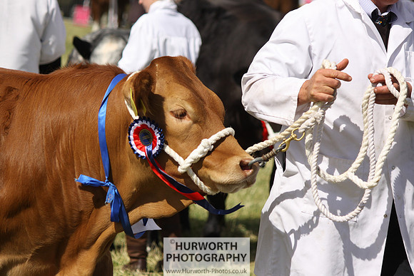 2013 Osmotherley Show 225