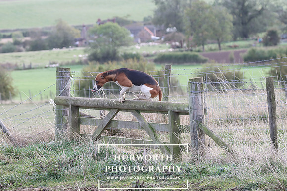 Hurowth Hunt 81