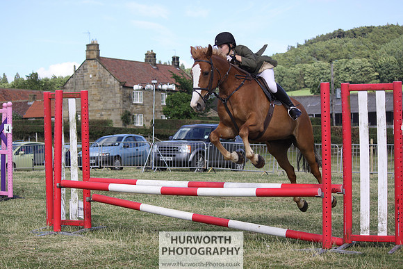 2013 Osmotherley Show 352