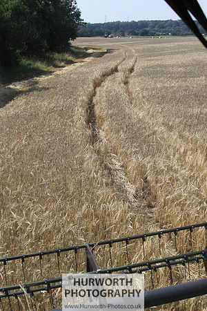 Countryside 051