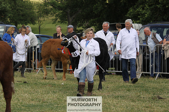 2013 Osmotherley Show 200