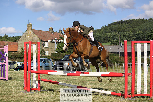 2013 Osmotherley Show 370